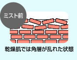 マイケアミスト