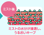 マイケアミスト