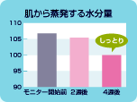 ミストイメージ2