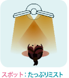 マイケアミスト