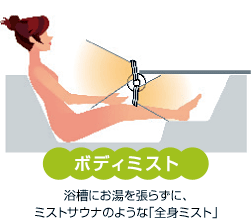 マイケアミスト