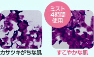 ミストイメージ１